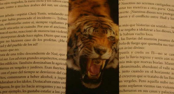 Punto de lectura con Tigre