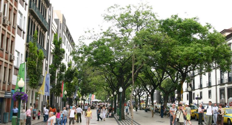 Desde el Grand Café de Funchal