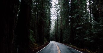 Carretera oscura