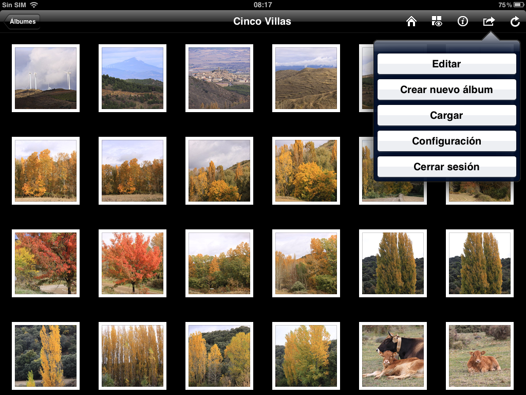 Figura 2. Álbum de fotos con DS photo+ en un iPad2 (iOS).