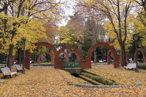 El parque de la Media Luna