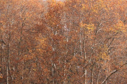 Colores del otoño desde el Baluarte del Redín 1