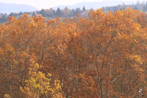 Colores del otoño desde el Baluarte del Redín 3