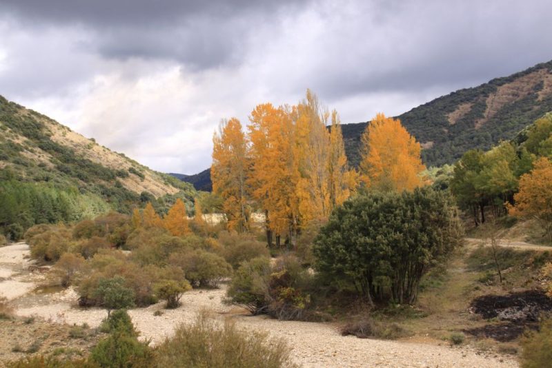 El lecho del río Arba de Luesia 1