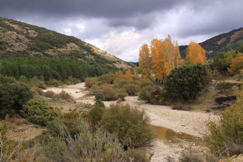 El lecho del río Arba de Luesia 2