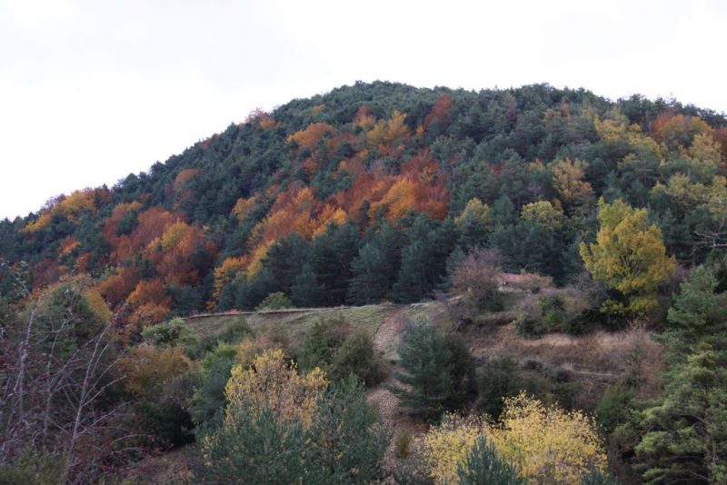 El bosque otoñal, cerca del Pozo de Pígalo