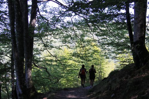 Caminos del Irati, cerca de la presa del embalse de Irabia