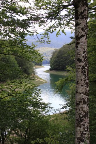 El río, ya embalsado, serpentea entre los árboles